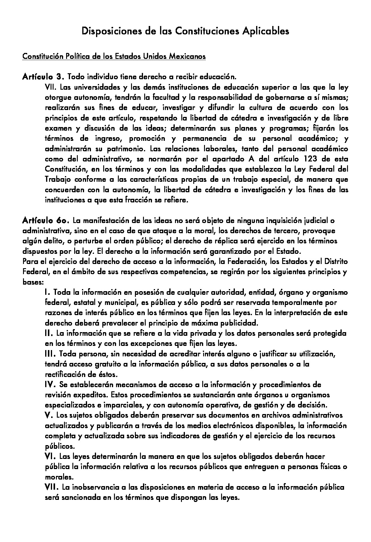 Preview archivo adjunto